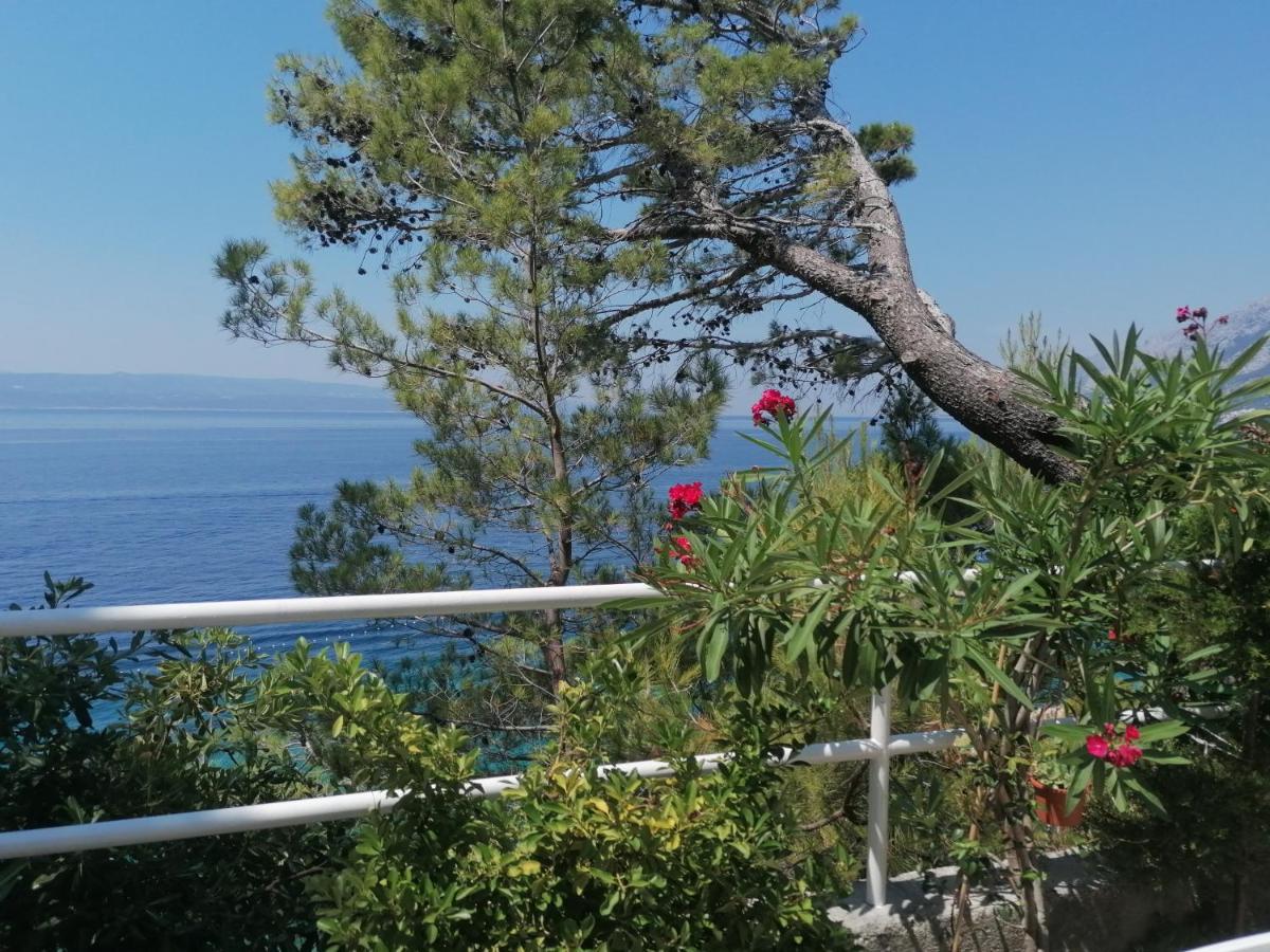 Apartmani Mares - 20 M From The Beach Брела Экстерьер фото