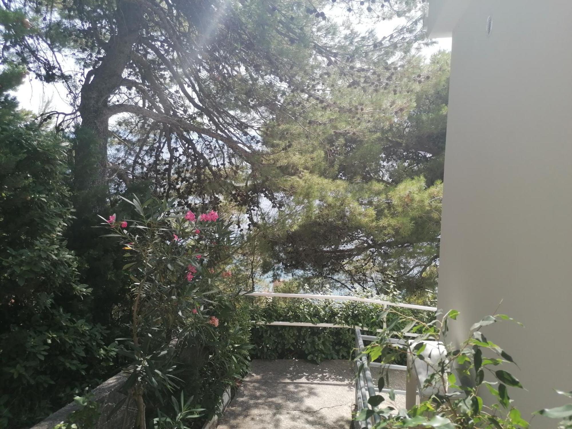Apartmani Mares - 20 M From The Beach Брела Экстерьер фото